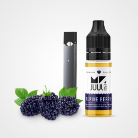 Mr. Juul Alpine Berry Salt Likit 10 ML